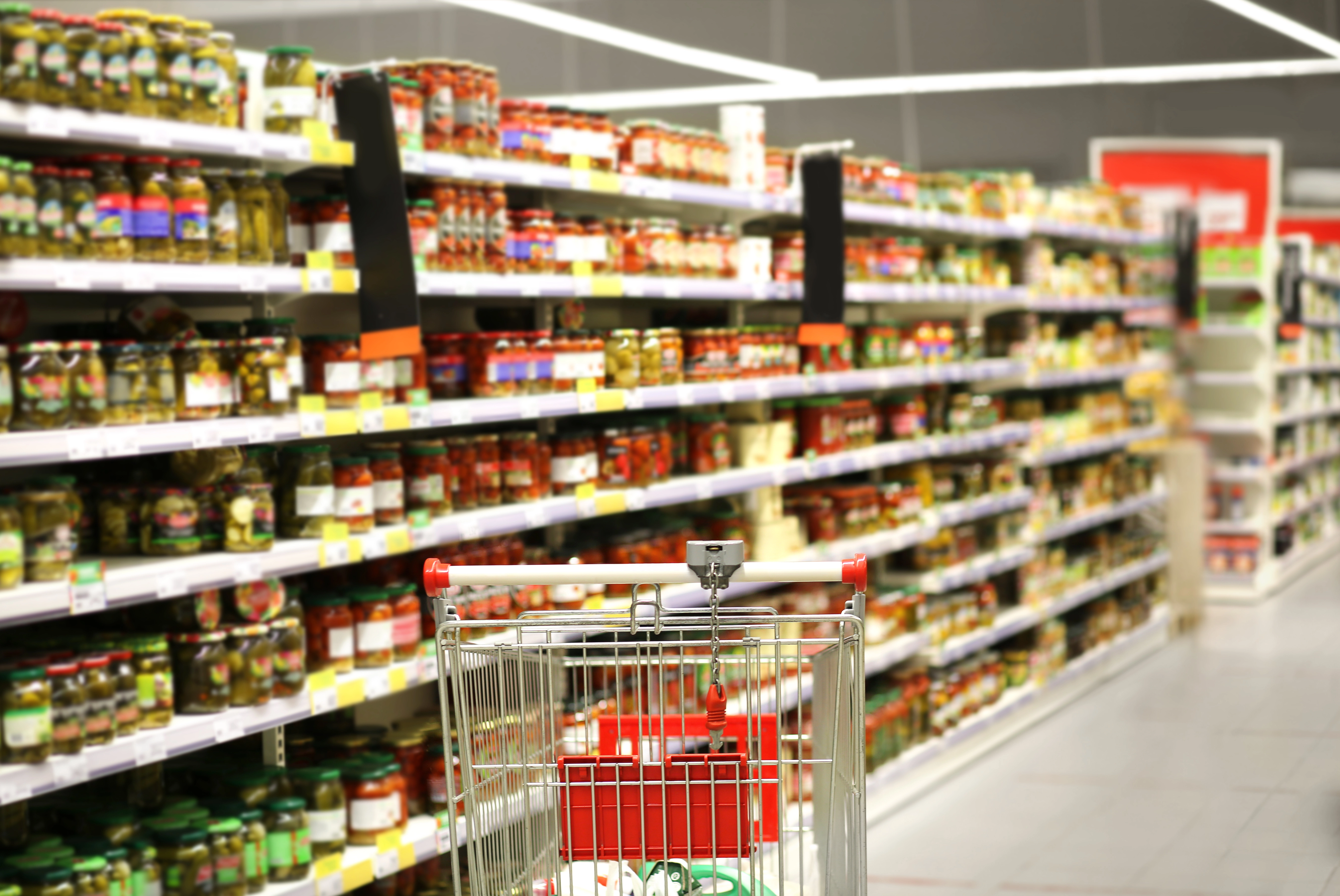 empty-grocery-cart-empty-supermarket%20(1)